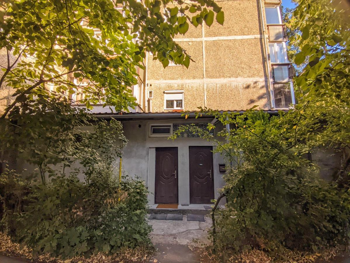 Moss'S Economy Studio Timisoara Exterior foto